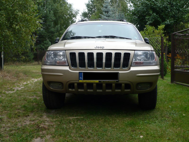 P1010424.jpg
